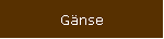 Gänse