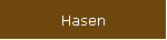 Hasen