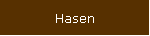 Hasen