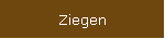 Ziegen