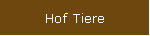 Hof Tiere