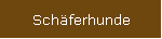 Schferhunde